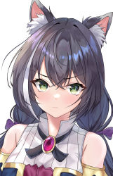Rule 34 | 1girl, absurdres, animal ear fluff, bare shoulders, black hair, blush, close-up, closed mouth, crossed bangs, ct-2980-craig, detached sleeves, frown, gem, green eyes, hair between eyes, hair ribbon, highres, karyl (princess connect!), long hair, looking at viewer, low twintails, multicolored hair, princess connect!, ribbon, simple background, solo, streaked hair, twintails, undershirt, upper body, white background, white hair