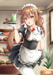 Rule 34 | 1girl, animal ears, apron, bad food, bobby pin, braid, breasts, brown hair, dog girl, dress, highres, hololive, indoors, inugami korone, long hair, maid, maid apron, maid cafe, maid headdress, medium breasts, mugioneko, orange eyes, severed finger, solo, tail raised, thighhighs, twintails, virtual youtuber, waitress, white thighhighs