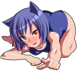 Rule 34 | animal ears, aq interactive, arcana heart, atlus, bad id, bad pixiv id, barefoot, blue hair, cat ears, daidouji kira, examu, face, feet, foreshortening, highres, one-piece swimsuit, orochi itto, pointing, school swimsuit, solo, swimsuit