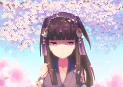 Rule 34 | 1girl, black hair, blunt bangs, cherry blossoms, dated, day, fire emblem, fire emblem fates, floral background, flower, highres, looking at viewer, nintendo, petals, purple eyes, rhajat (fire emblem), solo, two side up