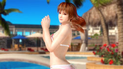 Rule 34 | 1girl, 3d, bikini, breasts, brown eyes, brown hair, dead or alive, dead or alive xtreme 3 fortune, kasumi (doa), official art, outdoors, sky, solo, swimsuit
