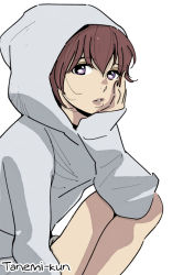 Rule 34 | 10s, 1girl, aldnoah.zero, colorized, hand on own cheek, hand on own face, hood, hoodie, kneeling, looking at viewer, purple eyes, rayet areash, red hair, shimura takako, short hair, signature, simple background, solo, white background