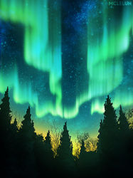 Rule 34 | aurora, commentary, english commentary, forest, highres, making-of available, mclelun, nature, night, night sky, no humans, original, outdoors, scenery, signature, sky, star (sky), starry sky