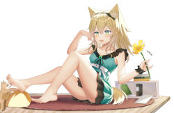 Rule 34 | 1girl, animal ears, arknights, armpits, bare arms, bare legs, barefoot, blonde hair, dog ears, dog girl, dog tail, dress, feet, feet licking, flower, foot lick, full body, green dress, hair ornament, hairclip, highres, luoloo, official alternate costume, open mouth, podenco (arknights), podenco (wake up from a nap) (arknights), short hair, sitting, skirt, soles, tail, toes, wristband