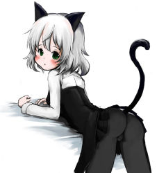 Rule 34 | 00s, 1girl, animal ears, ass, bad id, bad pixiv id, black pantyhose, blush, green eyes, haruyuki, pantyhose, sanya v. litvyak, silver hair, solo, strike witches, world witches series