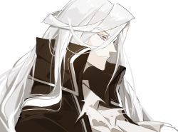 Rule 34 | 1boy, absurdres, alchemy stars, black coat, brown eyes, charon (alchemy stars), closed mouth, coat, grey background, grey hair, hair between eyes, highres, long hair, male focus, open clothes, open coat, simple background, smile, solo, torn, torn clothes, upper body, viiiper