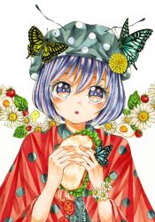 Rule 34 | 1girl, bug, butterfly, butterfly on head, flower, food, hand up, highres, holding, holding food, insect, ky2ca-nica, leaf, lettuce, marker (medium), original, parted lips, plant, purple eyes, purple hair, sandwich, short hair, simple background, solo, traditional media, upper body, white background, white flower