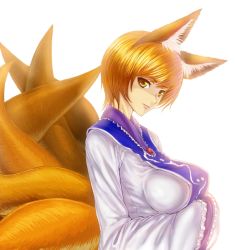 Rule 34 | 1girl, animal ears, bad id, bad pixiv id, blonde hair, breasts, artistic error, female focus, fox ears, fox tail, hands in opposite sleeves, impossible clothes, impossible shirt, multiple tails, no headwear, no headwear, shirt, short hair, solo, tail, task (artist), touhou, yakumo ran, yellow eyes