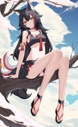 Rule 34 | 1girl, absurdres, adapted costume, animal ears, aoria, black hair, black skirt, blue sky, breasts, brown eyes, choker, closed mouth, cloud, commentary, day, english commentary, highres, hololive, legs, long hair, looking at viewer, medium breasts, midriff, multicolored hair, navel, ookami mio, ookami mio (1st costume), outdoors, red choker, red hair, sandals, sitting, skirt, sky, sleeveless, smile, solo, streaked hair, tail, toes, underboob, virtual youtuber, wolf ears, wolf girl, wolf tail
