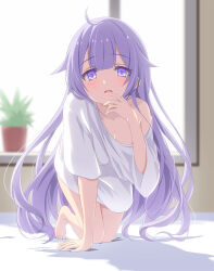 Rule 34 | 1girl, :d, ahoge, all fours, azur lane, barefoot, blurry, blurry background, commission, day, depth of field, hair flaps, highres, indoors, long hair, long sleeves, looking at viewer, off shoulder, open mouth, plant, potted plant, purple eyes, purple hair, shirt, skeb commission, smile, solo, sukireto, sunlight, unicorn (azur lane), very long hair, white shirt, wide sleeves, window