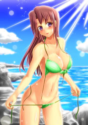 Rule 34 | 1girl, bikini, bird, blush, breasts, brown hair, cleavage, cloud, d-n, day, front-tie top, green bikini, large breasts, lens flare, long hair, looking at viewer, navel, ocean, parted lips, purple eyes, seagull, shiny skin, side-tie bikini bottom, sky, solo, swimsuit, undressing, untied, wet