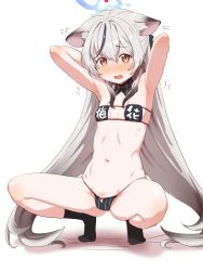 Rule 34 | 1girl, animal ears, armpits, arms behind head, blue archive, blush, bow, bow panties, bra, breasts, clearite, collarbone, commentary request, grey hair, halo, highres, kokona (blue archive), long hair, looking at viewer, navel, panties, simple background, sitting, small breasts, solo, translation request, underwear, underwear only, very long hair, white background