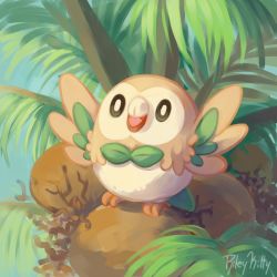 Rule 34 | bird, coconut, commentary, creatures (company), day, english commentary, full body, game freak, gen 7 pokemon, looking up, nintendo, no humans, open mouth, outdoors, palm tree, pokemon, pokemon (creature), rileykitty, rowlet, signature, solo, standing, tongue, tree