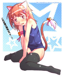 Rule 34 | animal ears, cat ears, cat tail, nyazui, one-piece swimsuit, school swimsuit, solo, swimsuit, tail, thighhighs