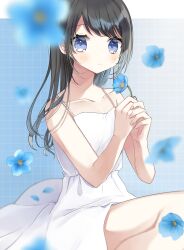 Rule 34 | 1girl, absurdres, bare arms, bare shoulders, black hair, blue background, blue eyes, blue flower, blurry, blurry foreground, blush, breasts, cleavage, closed mouth, collarbone, commentary request, depth of field, dress, flower, gradient background, grey background, grid background, hachimitsu honey, highres, holding, holding flower, long hair, looking at viewer, original, own hands together, sleeveless, sleeveless dress, small breasts, solo, white dress