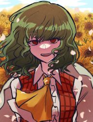 Rule 34 | 1girl, ascot, field, flower, flower field, green hair, highres, kazami yuuka, looking at viewer, open mouth, outdoors, plaid, plaid vest, red eyes, red vest, shirt, soda (sodaa 811), solo, sunflower, sunflower field, teeth, touhou, upper teeth only, vest, white hair, white shirt, yellow ascot