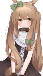 Rule 34 | 1girl, absurdres, animal ear fluff, animal ears, black collar, black dress, bow, brown hair, closed mouth, collar, commentary request, dress, eyes visible through hair, frills, green bow, green eyes, hair between eyes, hair bow, highres, long hair, looking at viewer, mochizuki mochi, original, simple background, sleeveless, sleeveless dress, solo, twintails, very long hair, white background