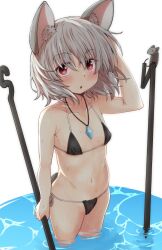 Rule 34 | 1girl, :o, animal ear fluff, animal ears, bikini, black bikini, blush, commentary request, covered erect nipples, dowsing rod, flat chest, from above, grey hair, hair between eyes, holding rod, jewelry, looking at viewer, mixed-language commentary, mouse ears, naegi (naegidokoro), nazrin, open mouth, partially submerged, pendant, petite, pink eyes, simple background, solo, swimsuit, touhou, water, white background