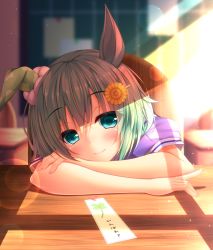 Rule 34 | 1girl, animal ears, bad id, bad pixiv id, blue eyes, blurry, blurry background, blush, chair, closed mouth, commentary request, depth of field, fingernails, green hair, hair between eyes, hair ornament, hairpin, head rest, head tilt, horse ears, horse girl, indoors, looking at viewer, nail polish, pink nails, puffy short sleeves, puffy sleeves, purple shirt, seiun sky (umamusume), shirt, short sleeves, sitting, smile, solo, sunlight, table, translation request, umamusume, yunagi amane