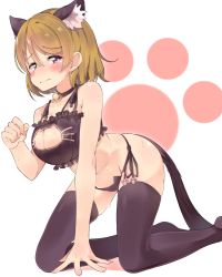 Rule 34 | 1girl, all fours, animal ears, bell, black neckwear, black panties, black thighhighs, blush, bra, breasts, brown hair, cat ear panties, cat ears, cat lingerie, cat tail, choker, cleavage, cleavage cutout, clothing cutout, embarrassed, frilled bra, frills, frown, hair between eyes, highres, jingle bell, koizumi hanayo, love live!, love live! school idol project, meme attire, neck bell, panties, paw pose, paw print, paw print background, popii (yuuta679), purple eyes, short hair, side-tie panties, solo, sweat, tail, thighhighs, underwear, white background