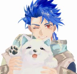 Rule 34 | 1boy, 1other, absurdres, aged down, animal, animal hands, asymmetrical bangs, blue hair, braid, braided ponytail, cu chulainn (fate), dog, earrings, fate/grand order, fate/grand order arcade, fate (series), grin, high collar, highres, jewelry, long hair, looking at viewer, male focus, meisei (akaramu 3305min), one eye closed, ponytail, puppy, red eyes, setanta (fate), simple background, smile, spiked hair, tongue, tongue out, white background