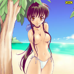 Rule 34 | 1girl, armlet, arms behind back, artist request, beach, bikini, bikini bottom only, blush, bow, breasts, brown eyes, brown hair, character request, choker, cloud, collarbone, copyright request, hair bow, hair over breasts, large breasts, long hair, looking at viewer, lowres, ocean, ponytail, sand, side-tie bikini bottom, sky, smile, solo, standing, swimsuit, topless, tree, water, white bikini