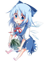 Rule 34 | 1girl, absurdres, barefoot, blouse, blue dress, blue eyes, blue hair, bow, cirno, dress, dress shirt, food, fruit, hair between eyes, hair bow, hakobako, highres, ice, ice wings, looking at viewer, matching hair/eyes, open mouth, puffy short sleeves, puffy sleeves, shirt, short hair, short sleeves, solo, touhou, watermelon, white shirt, wing collar, wings