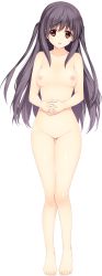 Rule 34 | 1girl, :o, barefoot, black hair, breasts, completely nude, covered navel, full body, gluteal fold, highres, iizuki tasuku, lil coulier, long hair, looking at viewer, medium breasts, nipples, no pussy, nude, official art, own hands together, red eyes, seikishi melty lovers, solo, transparent background, two side up