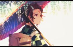 Rule 34 | 1boy, backpack, bag, black hair, blurry, box, dappled sunlight, day, depth of field, earrings, flower, from behind, highres, japanese clothes, jewelry, kamado tanjirou, kimetsu no yaiba, letterboxed, long sleeves, looking away, male focus, oil-paper umbrella, red eyes, scar, scar on face, scar on forehead, shimotsuki sima, solo, sunlight, umbrella, upper body, wisteria