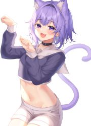 Rule 34 | 1girl, :3, :d, absurdres, ahoge, animal ear fluff, animal ears, bad id, bad pixiv id, blue shirt, blush, cat ears, cat girl, cat tail, commentary request, cowboy shot, crop top, fang, hair intakes, hairband, harusame (user wawj5773), highres, hololive, long sleeves, looking at viewer, medium hair, navel, nekomata okayu, nekomata okayu (casual), open mouth, paw pose, purple eyes, purple hair, sailor collar, shirt, short shorts, shorts, skin fang, smile, solo, stomach, tail, tail raised, virtual youtuber, white background, white sailor collar, white shorts
