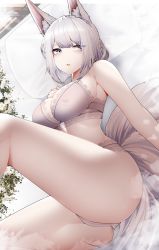 Rule 34 | 1girl, absurdres, animal ear fluff, animal ears, ass, azur lane, bare arms, bare legs, bed, bed shee, blue eyes, bra, breasts, covered erect nipples, fox ears, highres, kaga (azur lane), lying, medium breasts, on back, panties, parted lips, pillow, samip, sideboob, sidelocks, solo, tail, thighs, underwear, underwear only, white bra, white hair, white panties, window