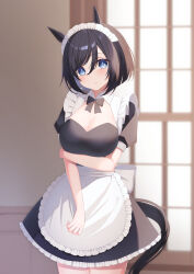 Rule 34 | 1girl, absurdres, alternate costume, animal ears, apron, arm under breasts, astroglia cyte, black bow, black hair, blue eyes, blush, bow, commentary request, cowboy shot, dress, eishin flash (umamusume), enmaided, frilled apron, frilled dress, frills, hair between eyes, highres, horse ears, horse girl, horse tail, looking at viewer, maid, maid apron, maid headdress, puffy short sleeves, puffy sleeves, short hair, short sleeves, solo, tail, umamusume