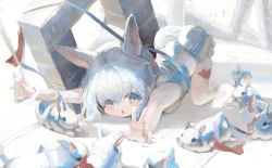 Rule 34 | 1girl, :o, animal ears, bare arms, bare legs, blush, doubutsunoujyou, full body, grey eyes, grey shirt, grey shorts, hair between eyes, highres, looking at viewer, original, outstretched arms, rabbit, rabbit ears, rabbit girl, rabbit tail, shirt, short hair, shorts, solo, tail, top-down bottom-up, white hair