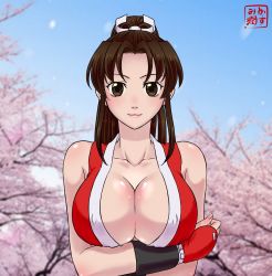 Rule 34 | 1girl, bare shoulders, blurry, breasts, brown eyes, brown hair, cherry blossoms, cleavage, day, depth of field, facing viewer, fatal fury, high ponytail, kasumi jun, looking at viewer, medium breasts, no bra, outdoors, parted bangs, photo background, shiranui mai, sky, snk, solo, tagme, the king of fighters, upper body