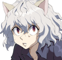 Rule 34 | 1other, androgynous, animal ears, blue shirt, cat ears, collared shirt, commentary request, eyelashes, grey hair, hair between eyes, highres, hunter x hunter, neferpitou, parted lips, portrait, purple eyes, q haoyu, shirt, simple background, solo, white background