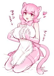 Rule 34 | 1girl, apron, breasts, hands on own chest, heart, highres, huge breasts, kemono friends, kemono friends 3, leotard, looking at viewer, panther ears, panther girl, panther tail, peach panther (kemono friends), pink eyes, pink hair, short hair, sleeveless, thighhighs, translated, yokuko zaza