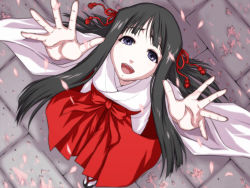 Rule 34 | black hair, blue eyes, cherry blossoms, iga tomoteru, japanese clothes, miko, original, petals, reaching, solo