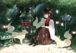 Rule 34 | 1girl, animal, black bow, black footwear, black hair, boots, bottle, bow, breasts, brown eyes, brown skirt, bug, butterfly, closed mouth, commentary request, dappled sunlight, flower, fox, glowing, grass, hair flower, hair ornament, hands on lap, haori, high heel boots, high heels, highres, insect, japanese clothes, kimono, knees up, lantern, long hair, looking at viewer, moss, obi, original, outdoors, plant, red flower, red kimono, rock, sash, sena tea29, shide, shrine, sign, sitting, skirt, small breasts, solo, sunlight, torii, tree, water, wide sleeves, wooden lantern