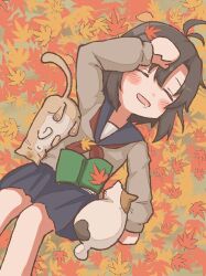 Rule 34 | 1girl, 64mi5, animal hands, antenna hair, autumn, autumn leaves, black hair, black hairband, blue sailor collar, blue skirt, blush, blush stickers, book, brown cat, brown sweater, calico, cat, cat paws, chibi, closed eyes, commentary, dress shirt, from above, hairband, hand to head, highres, idolmaster, idolmaster (classic), kikuchi makoto, leaf, leaf on head, long sleeves, lying, maple leaf, neckerchief, on back, on ground, open book, open mouth, pleated skirt, red neckerchief, sailor collar, saliva, school uniform, serafuku, shirt, short hair, skirt, sleeping, smile, solo, sweater, white shirt