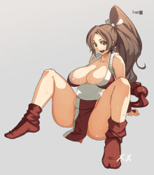 Rule 34 | 1girl, breasts, brown hair, cleavage, fatal fury, huge breasts, large breasts, loincloth, long hair, meme50, pelvic curtain, plump, ponytail, revealing clothes, rope, shiranui mai, sitting, snk, socks, solo, spread legs, sweat, the king of fighters, thighs, yellow eyes