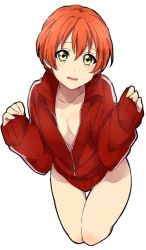 Rule 34 | 1girl, blush, collarbone, cropped legs, dot nose, green eyes, hoshizora rin, leaning forward, long sleeves, looking at viewer, love live!, love live! school idol project, naked sweater, no bra, parted lips, red hair, red sweater, sekina, short hair, simple background, sleeves past wrists, solo, standing, sweater, white background, zipper
