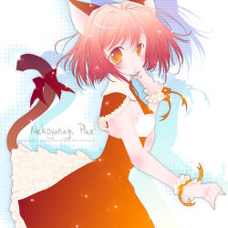 Rule 34 | animal ears, cat ears, cat tail, detached collar, mogami rio, original, solo, tagme, tail