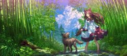 Rule 34 | 1girl, animal, animal ears, bamboo, bamboo forest, barefoot, brown hair, dress, forest, imaizumi kagerou, nature, scenery, tail, teiraa, touhou, wolf ears, wolf tail