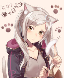 Rule 34 | 1girl, animal ears, brown eyes, cat day, cat ears, cat tail, closed mouth, fire emblem, fire emblem awakening, haru (nakajou-28), highres, hood, hood down, long sleeves, nintendo, robin (female) (fire emblem), robin (fire emblem), simple background, solo, tail, twintails, upper body, white hair