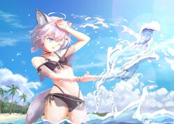 Rule 34 | 1girl, ;d, ahoge, animal ear fluff, animal ears, arknights, arm up, bare shoulders, beach, bikini, black bikini, blue eyes, blue sky, cloud, cowboy shot, day, dot nose, extra ears, fox ears, fox girl, fox tail, genjaku, grey hair, hair ornament, hairclip, highres, lens flare, light rays, material growth, navel, ocean, off-shoulder bikini, off shoulder, official alternate costume, one eye closed, open mouth, originium (arknights), oripathy lesion (arknights), outdoors, palm tree, partially submerged, sand, see-through, short hair, short twintails, side-tie bikini bottom, sky, smile, solo, sparkle, splashing, sunlight, sussurro (arknights), sussurro (summer flower) (arknights), swimsuit, tail, tree, twintails, wading, water, wet