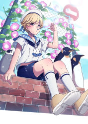Rule 34 | 1boy, animal, ann hajime, bird, blonde hair, blue sailor collar, dixie cup hat, from below, hat, hat ribbon, looking at viewer, male focus, military hat, original, penguin, ribbon, sailor, sailor collar, sailor hat, shorts