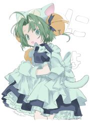 Rule 34 | 1girl, :d, ahoge, animal ears, animal hat, apron, artist name, back bow, bell, blue dress, blue ribbon, bow, cat ears, cat girl, cat hat, cat tail, commentary request, cropped legs, dejiko, di gi charat, dress, frilled apron, frilled sleeves, frills, from behind, gloves, green eyes, green hair, hair bell, hair ornament, hair ribbon, hano luno, hat, highres, jingle bell, looking back, maid, maid apron, neck bell, open mouth, parted bangs, petticoat, puffy short sleeves, puffy sleeves, raised eyebrows, ribbon, short hair, short sleeves, simple background, skirt hold, smile, solo, tail, translation request, white apron, white background, white bow, white gloves, white hat, white tail