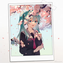 Rule 34 | 1girl, :d, alternate costume, blue eyes, blue hair, cherry blossoms, flower, hanamoto410, hatsune miku, highres, holding, holding flower, long hair, looking at viewer, necktie, open mouth, outdoors, petals, photo (object), pink flower, red necktie, school uniform, serafuku, smile, solo, tree, twintails, upper body, vocaloid