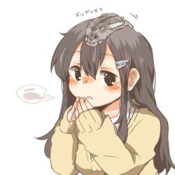 Rule 34 | 10s, 1girl, akagi (kancolle), alternate costume, animal, animal on head, bad id, bad twitter id, blush, brown hair, casual, hair ornament, hairclip, hamster, kantai collection, long hair, lowres, on head, open mouth, rebecca (keinelove), solo, sweater