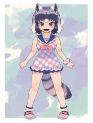 Rule 34 | 1girl, an-chan (ananna0315), animal ears, blue one-piece swimsuit, blush, brown eyes, collar, commentary request, common raccoon (kemono friends), fangs, frilled collar, frilled swimsuit, frills, full body, grey hair, highres, kemono friends, kemono friends 3, looking at viewer, multicolored clothes, multicolored hair, multicolored swimsuit, neckerchief, official alternate costume, one-piece swimsuit, open mouth, plaid, plaid swimsuit, raccoon ears, raccoon girl, raccoon tail, red neckerchief, red one-piece swimsuit, sailor collar, sandals, scrunchie, short hair, solo, swimsuit, tail, white one-piece swimsuit, wrist scrunchie